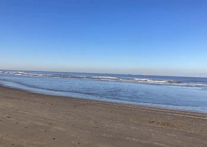 Apartment Kustappartementenkatwijk 2f *