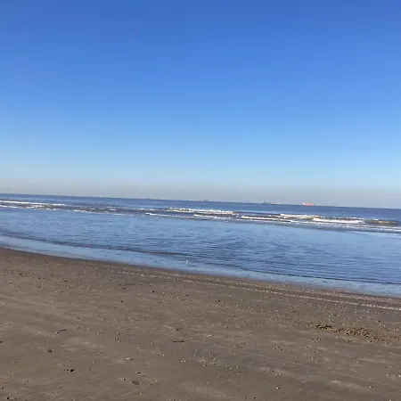 شقة Kustappartementenkatwijk 2f *